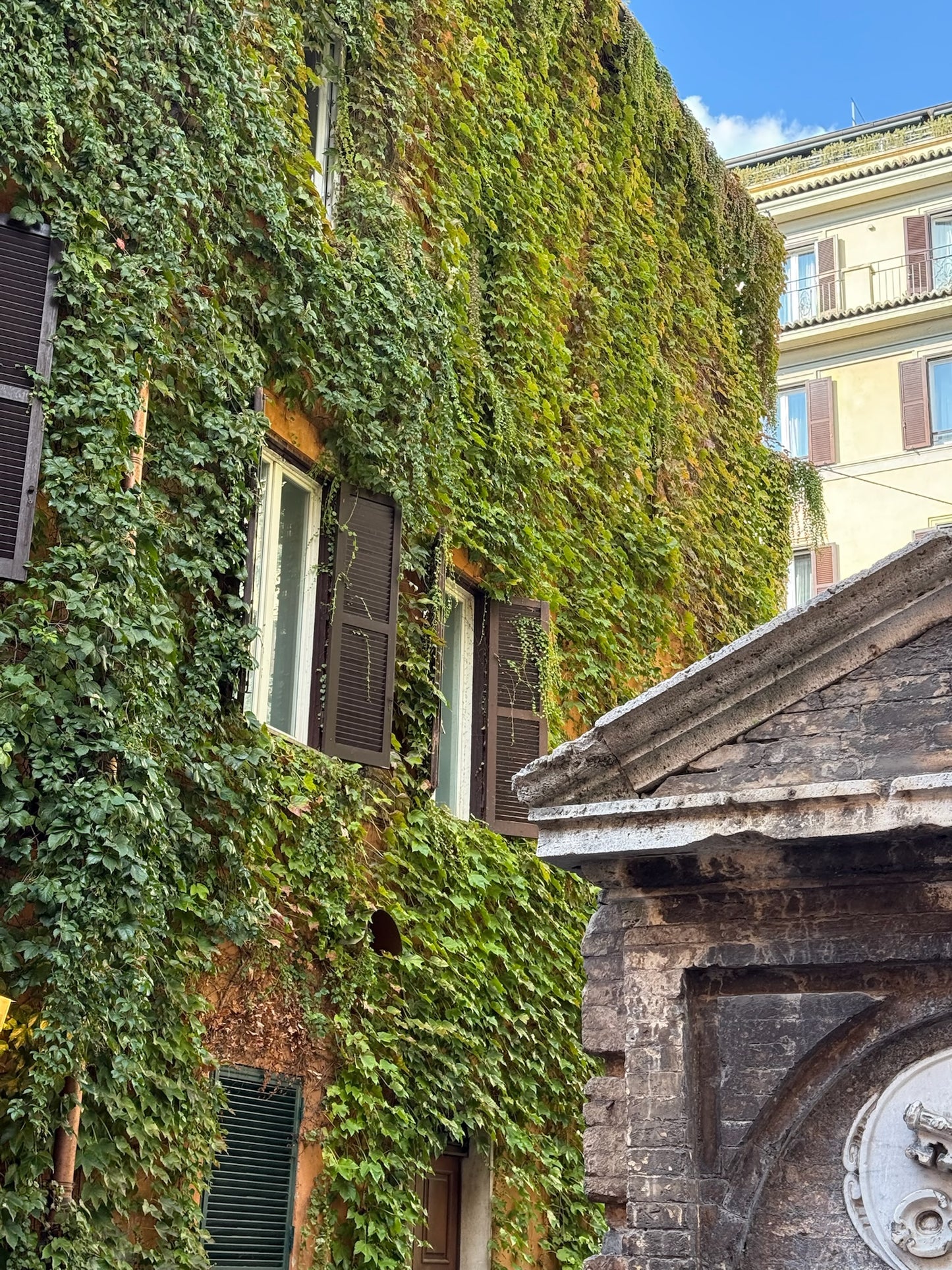 Frutto - The Round Charm